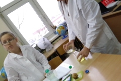 przyroda