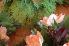 Resized_20200616_121935