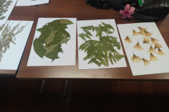 Messenger_creation_CB8299FF-DEB5-4074-A18D-B210F81BC104